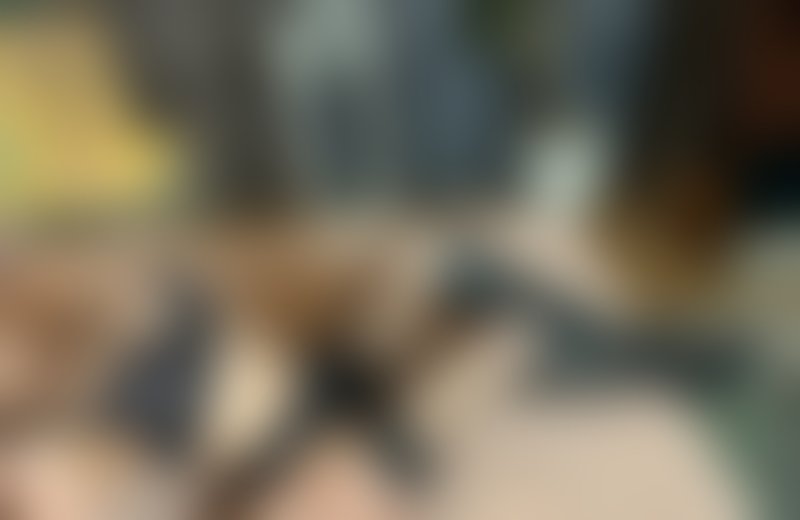 Júlia – žena na sex Liptovský Mikuláš